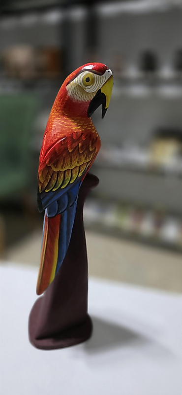 Canlı renkli 40 cm boy Papağan