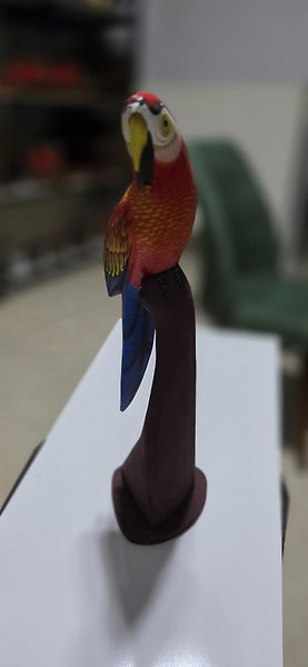 Dekoratif biblo Canlı renkli 40 cm boy Papağan