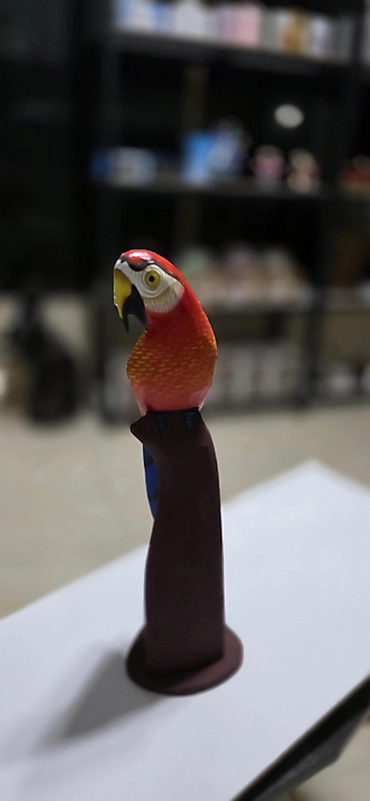 Canlı renkli 40 cm boy Papağan