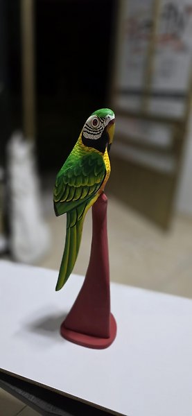 Dekoratif biblo Canlı renkli 40 cm boy Papağan