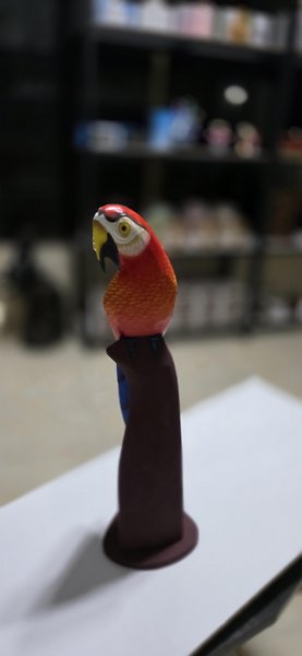 Dekoratif biblo Canlı renkli 40 cm boy Papağan